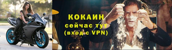 дживик Богданович