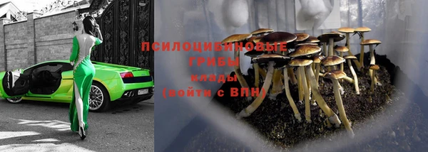 винт Богородицк