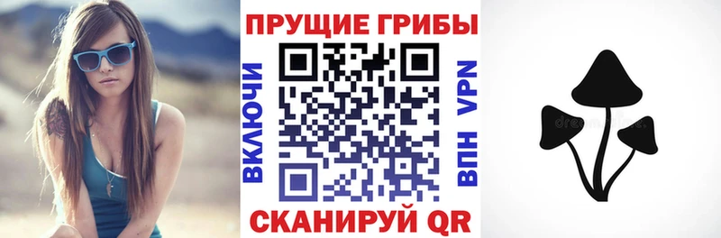 наркошоп  Ворсма  Псилоцибиновые грибы Psilocybe 
